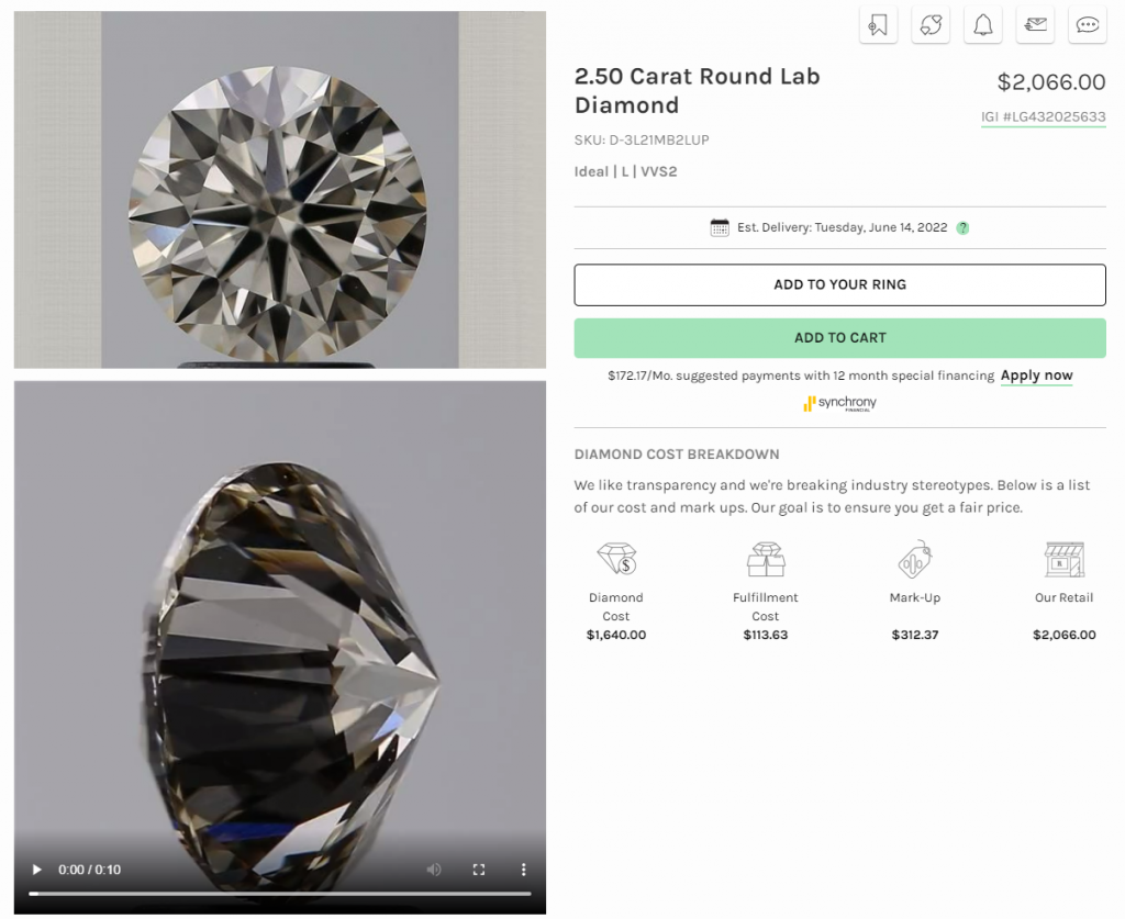 The diamond-detail view used in our guide. Diamond details and inspection tools from our Ritani guide