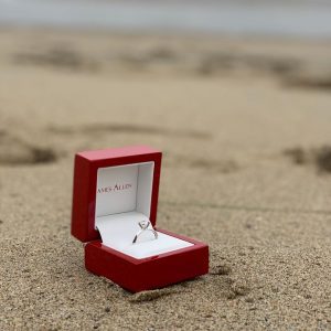 James Allen Review Ring Box